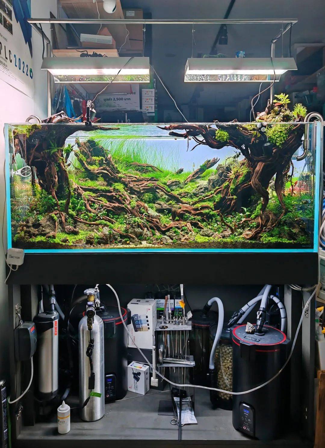 水族箱造景比賽 藝術與生態(tài)的完美融合