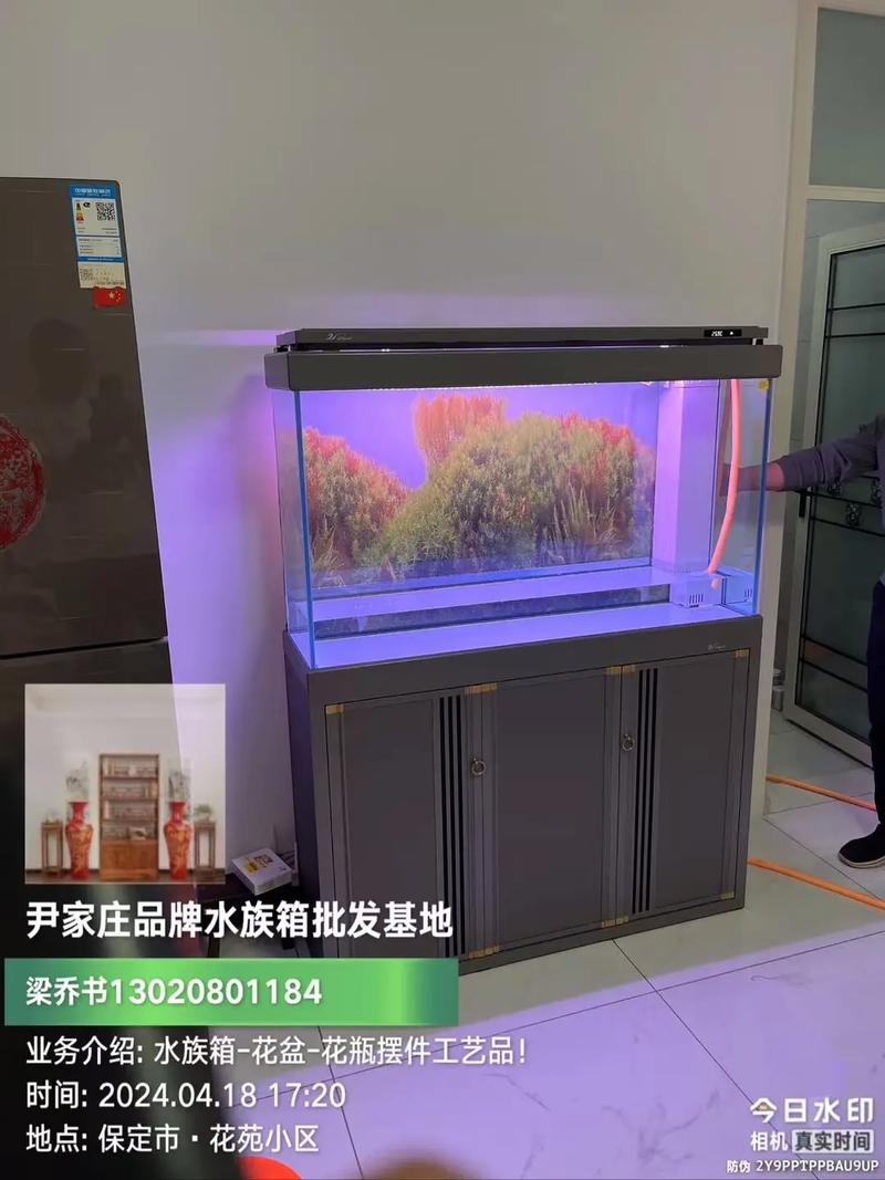 定州市南城區(qū)尹家莊品牌水族箱 專業(yè)批發(fā)服務
