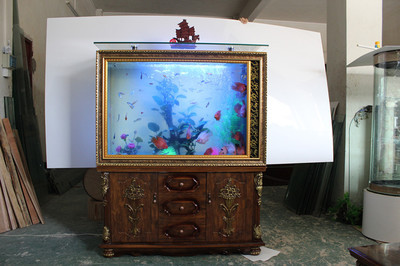 生態(tài)魚缸 方寸之間，構(gòu)筑流動(dòng)的生命藝術(shù)