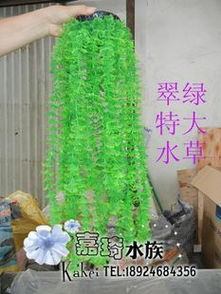 靈動(dòng)水下桃源 生態(tài)假山助力水族箱打造夢(mèng)幻魚樂世界